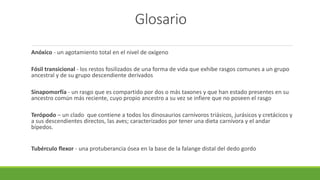 Glosario 
Anóxico - un agotamiento total en el nivel de oxígeno 
Fósil transicional - los restos fosilizados de una forma de vida que exhibe rasgos comunes a un grupo 
ancestral y de su grupo descendiente derivados 
Sinapomorfía - un rasgo que es compartido por dos o más taxones y que han estado presentes en su 
ancestro común más reciente, cuyo propio ancestro a su vez se infiere que no poseen el rasgo 
Terópodo – un clado que contiene a todos los dinosaurios carnívoros triásicos, jurásicos y cretácicos y 
a sus descendientes directos, las aves; caracterizados por tener una dieta carnívora y el andar 
bípedos. 
Tubérculo flexor - una protuberancia ósea en la base de la falange distal del dedo gordo 
 