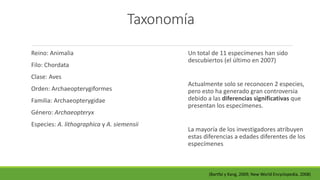 Taxonomía 
Reino: Animalia 
Filo: Chordata 
Clase: Aves 
Orden: Archaeopterygiformes 
Familia: Archaeopterygidae 
Género: Archaeopteryx 
Especies: A. lithographica y A. siemensii 
Un total de 11 especímenes han sido 
descubiertos (el último en 2007) 
Actualmente solo se reconocen 2 especies, 
pero esto ha generado gran controversia 
debido a las diferencias significativas que 
presentan los especímenes. 
La mayoría de los investigadores atribuyen 
estas diferencias a edades diferentes de los 
especímenes 
(Bartfai y Kang, 2009; New World Encyclopedia, 2008) 
 
