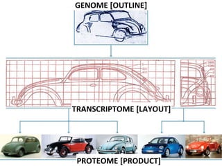 GENOME [OUTLINE] TRANSCRIPTOME [LAYOUT] PROTEOME   [PRODUCT] 