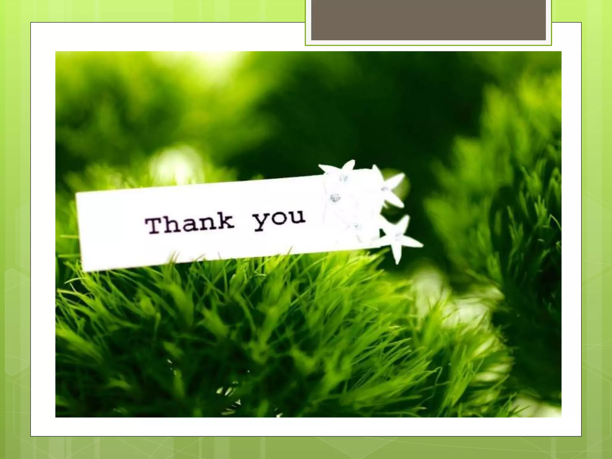 objective test scoring and essay scoring