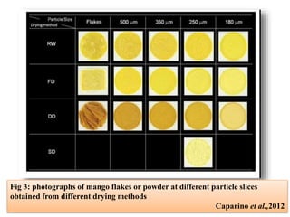 Fig 3: photographs of mango flakes or powder at different particle slices
obtained from different drying methods
Caparino et al.,2012
 