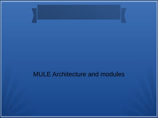 MULE Architecture and modules
 