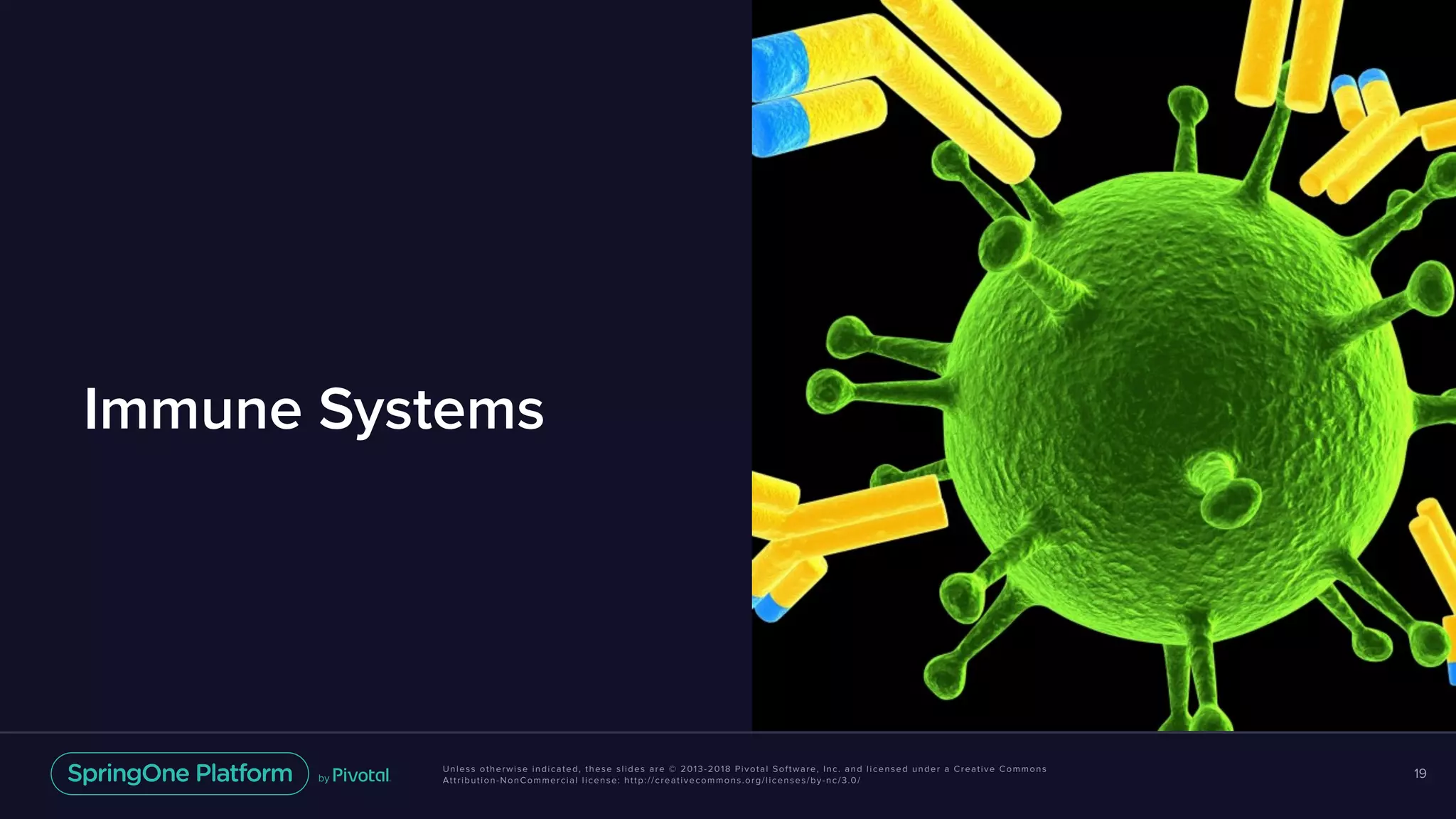 Unless otherwise indicated, these slides are © 2013-2018 Pivotal Software, Inc. and licensed under a Creative Commons
Attribution-NonCommercial license: http://creativecommons.org/licenses/by-nc/3.0/
Immune Systems
19
 