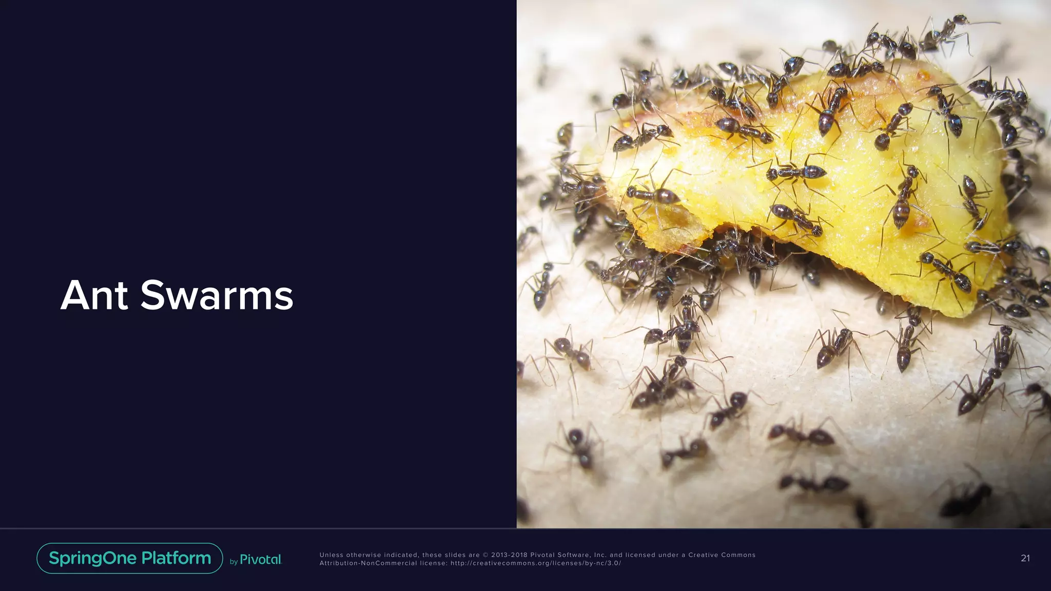 Unless otherwise indicated, these slides are © 2013-2018 Pivotal Software, Inc. and licensed under a Creative Commons
Attribution-NonCommercial license: http://creativecommons.org/licenses/by-nc/3.0/
Ant Swarms
21
 