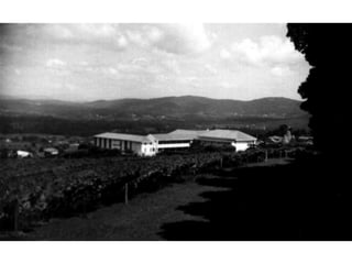 Archbishop lefebvre 1960 1962