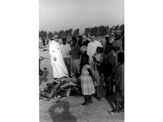 Archbishop lefebvre 1960 1962