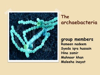 The
archaebacteria
group members
Rameen nadeem
Syeda iqra hussain
Hina zamir
Mahnoor khan
Maleeha inayat
 