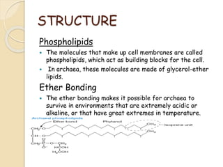 STRUCTURE
Phospholipids
 The molecules that make up cell membranes are called
phospholipids, which act as building blocks for the cell.
 In archaea, these molecules are made of glycerol-ether
lipids.
Ether Bonding
 The ether bonding makes it possible for archaea to
survive in environments that are extremely acidic or
alkaline, or that have great extremes in temperature.
 