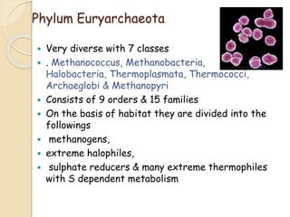 Phylum Euryarchaeota
 Very diverse with 7 classes
 . Methanococcus, Methanobacteria,
Halobacteria, Thermoplasmata, Thermococci,
Archaeglobi & Methanopyri
 Consists of 9 orders & 15 families
 On the basis of habitat they are divided into the
followings
 methanogens,
 extreme halophiles,
 sulphate reducers & many extreme thermophiles
with S dependent metabolism
 