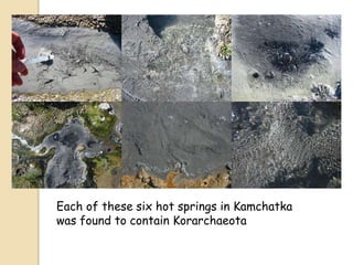 Each of these six hot springs in Kamchatka
was found to contain Korarchaeota
 
