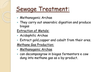 Sewage Treatment:
 Methanogenic Archae
 They carry out anaerobic digestion and produce
biogas
Extraction of Metals:
 Acidophilic Archae
 Extract gold,copper and cobalt from their ores.
Methane Gas Production:
 Methanogenic Archae
 can decomposgrow in biogas fermentors e cow
dung into methane gas as a by-product.
 