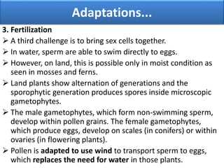 3. Fertilization
 A third challenge is to bring sex cells together.
 In water, sperm are able to swim directly to eggs.
 However, on land, this is possible only in moist condition as
seen in mosses and ferns.
 Land plants show alternation of generations and the
sporophytic generation produces spores inside microscopic
gametophytes.
 The male gametophytes, which form non-swimming sperm,
develop within pollen grains. The female gametophytes,
which produce eggs, develop on scales (in conifers) or within
ovaries (in flowering plants).
 Pollen is adapted to use wind to transport sperm to eggs,
which replaces the need for water in those plants.
Adaptations...
 