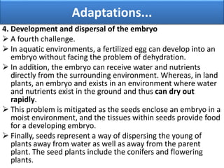 4. Development and dispersal of the embryo
 A fourth challenge.
 In aquatic environments, a fertilized egg can develop into an
embryo without facing the problem of dehydration.
 In addition, the embryo can receive water and nutrients
directly from the surrounding environment. Whereas, in land
plants, an embryo and exists in an environment where water
and nutrients exist in the ground and thus can dry out
rapidly.
 This problem is mitigated as the seeds enclose an embryo in a
moist environment, and the tissues within seeds provide food
for a developing embryo.
 Finally, seeds represent a way of dispersing the young of
plants away from water as well as away from the parent
plant. The seed plants include the conifers and flowering
plants.
Adaptations...
 