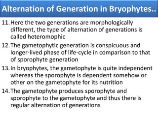 11.Here the two generations are morphologically
different, the type of alternation of generations is
called heteromophic
12.The gametophytic generation is conspicuous and
longer-lived phase of life-cycle in comparison to that
of sporophyte generation
13.In bryophytes, the gametophyte is quite independent
whereas the sporophyte is dependent somehow or
other on the gametophyte for its nutrition
14.The gametophyte produces sporophyte and
sporophyte to the gametophyte and thus there is
regular alternation of generations
Alternation of Generation in Bryophytes..
 