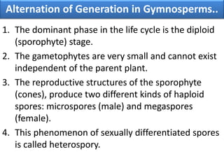 1. The dominant phase in the life cycle is the diploid
(sporophyte) stage.
2. The gametophytes are very small and cannot exist
independent of the parent plant.
3. The reproductive structures of the sporophyte
(cones), produce two different kinds of haploid
spores: microspores (male) and megaspores
(female).
4. This phenomenon of sexually differentiated spores
is called heterospory.
Alternation of Generation in Gymnosperms..
 