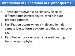 5. These spores give rise to similarly sexually
differentiated gametophytes, which in turn
produce gametes.
6. Fertilization occurs when a male and female
gamete join to form a zygote resulting an embryo
sac.
7. Resulting embryo, encased in a seed coating,
become sporophyte.
Alternation of Generation in Gymnosperms..
 