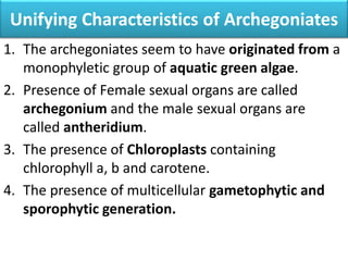 Unifying Characteristics of Archegoniates
1. The archegoniates seem to have originated from a
monophyletic group of aquatic green algae.
2. Presence of Female sexual organs are called
archegonium and the male sexual organs are
called antheridium.
3. The presence of Chloroplasts containing
chlorophyll a, b and carotene.
4. The presence of multicellular gametophytic and
sporophytic generation.
 