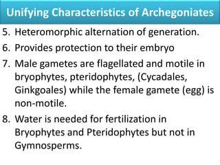 Unifying Characteristics of Archegoniates
5. Heteromorphic alternation of generation.
6. Provides protection to their embryo
7. Male gametes are flagellated and motile in
bryophytes, pteridophytes, (Cycadales,
Ginkgoales) while the female gamete (egg) is
non-motile.
8. Water is needed for fertilization in
Bryophytes and Pteridophytes but not in
Gymnosperms.
 