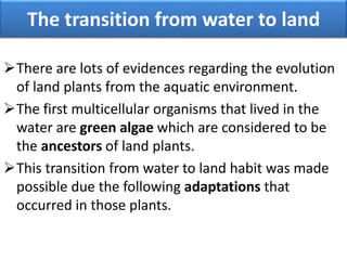 The transition from water to land
There are lots of evidences regarding the evolution
of land plants from the aquatic environment.
The first multicellular organisms that lived in the
water are green algae which are considered to be
the ancestors of land plants.
This transition from water to land habit was made
possible due the following adaptations that
occurred in those plants.
 