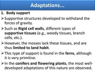 1. Body support
Supportive structures developed to withstand the
forces of gravity.
Such as Rigid cell walls, different types of
supportive tissues (e.g., woody tissues, branch
cells, etc.).
However, the mosses lack these tissues, and are
thus limited to land habit.
This type of support is found in the ferns, although
it is very primitive.
In the conifers and flowering plants, the most well-
developed adaptations of this nature are observed.
Adaptations...
 