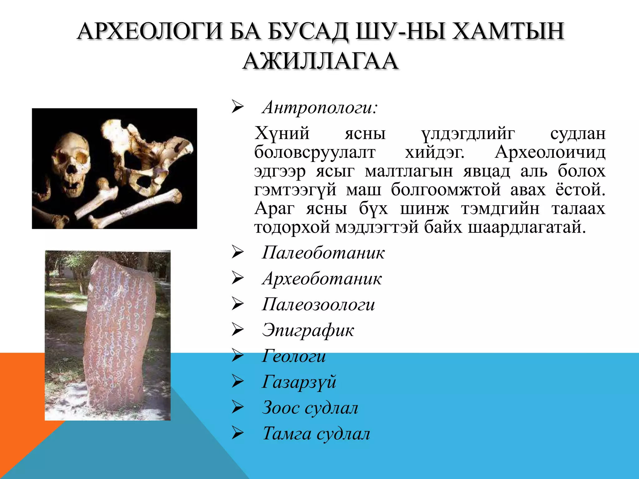  Антропологи:
Хүний ясны үлдэгдлийг судлан
боловсруулалт хийдэг. Археолоичид
эдгээр ясыг малтлагын явцад аль болох
гэмтээгүй маш болгоомжтой авах ѐстой.
Араг ясны бүх шинж тэмдгийн талаах
тодорхой мэдлэгтэй байх шаардлагатай.
 Палеоботаник
 Археоботаник
 Палеозоологи
 Эпиграфик
 Геологи
 Газарзүй
 Зоос судлал
 Тамга судлал
АРХЕОЛОГИ БА БУСАД ШУ-НЫ ХАМТЫН
АЖИЛЛАГАА
 