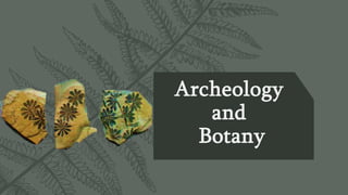 Archeology
and
Botany
 