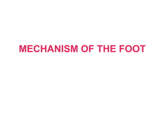 MECHANISM OF THE FOOT
 