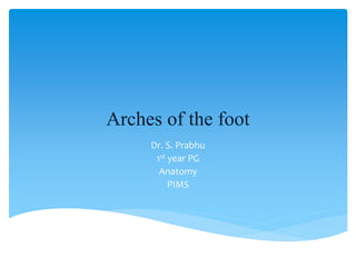 Arches of the foot
Dr. S. Prabhu
1st year PG
Anatomy
PIMS
 
