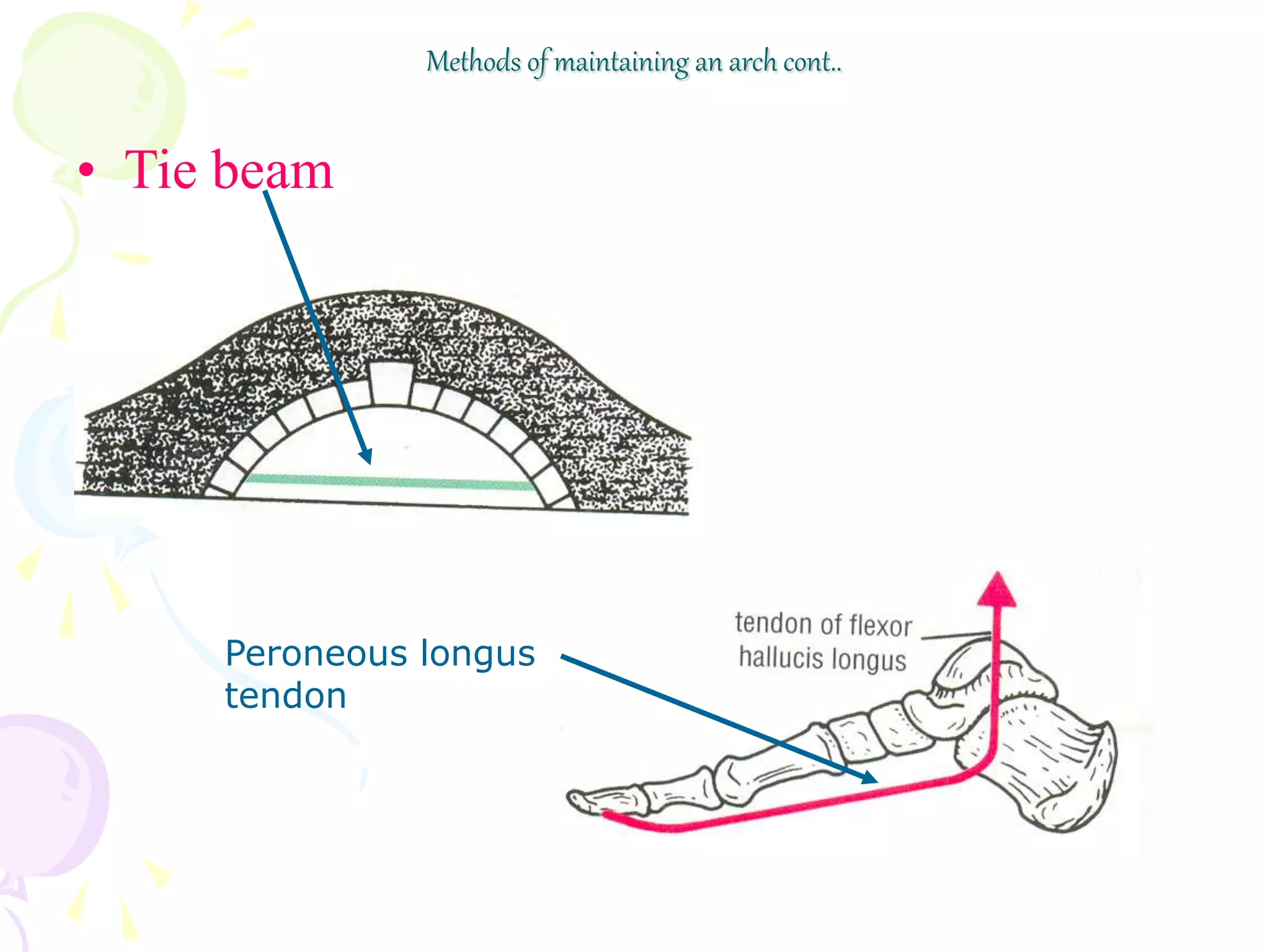 Methods of maintaining an arch cont..
• Tie beam
Peroneous longus
tendon
 