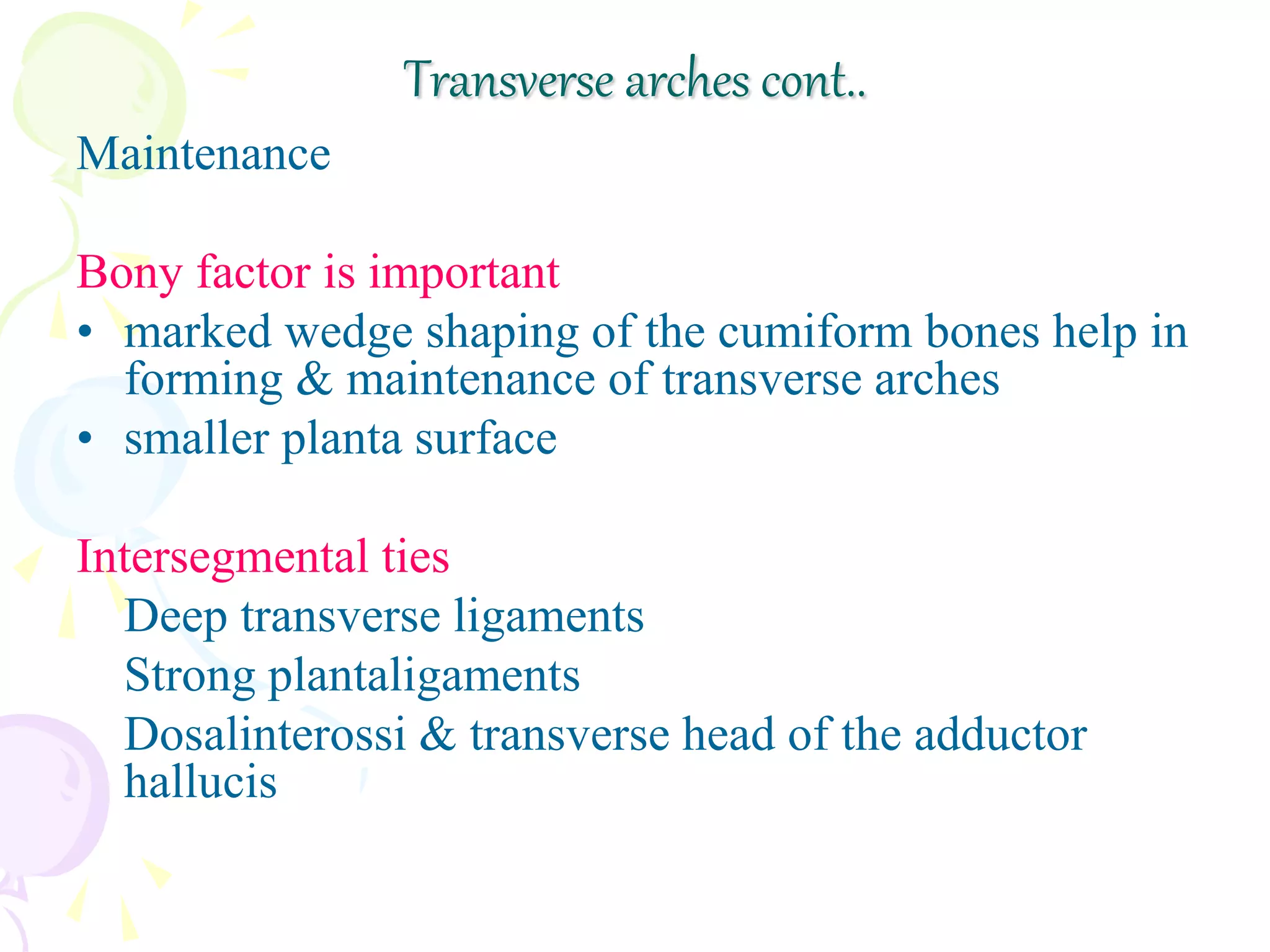 Maintenance
Bony factor is important
• marked wedge shaping of the cumiform bones help in
forming & maintenance of transverse arches
• smaller planta surface
Intersegmental ties
Deep transverse ligaments
Strong plantaligaments
Dosalinterossi & transverse head of the adductor
hallucis
Transverse arches cont..
 