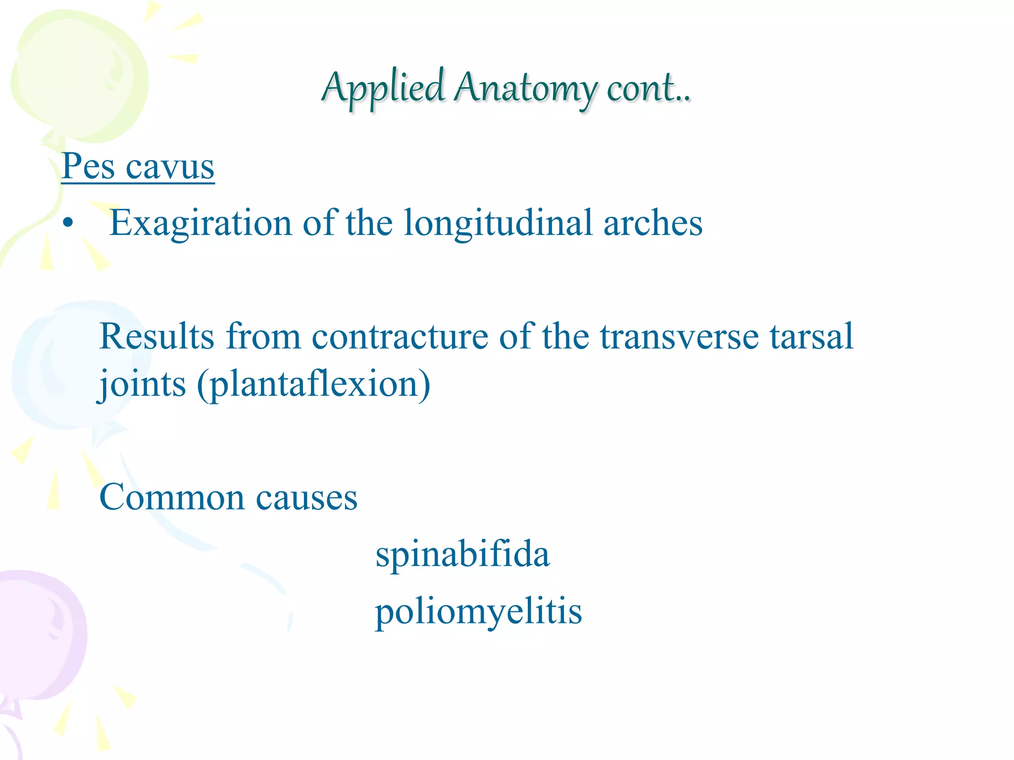 Pes cavus
• Exagiration of the longitudinal arches
Results from contracture of the transverse tarsal
joints (plantaflexion)
Common causes
spinabifida
poliomyelitis
Applied Anatomy cont..
 