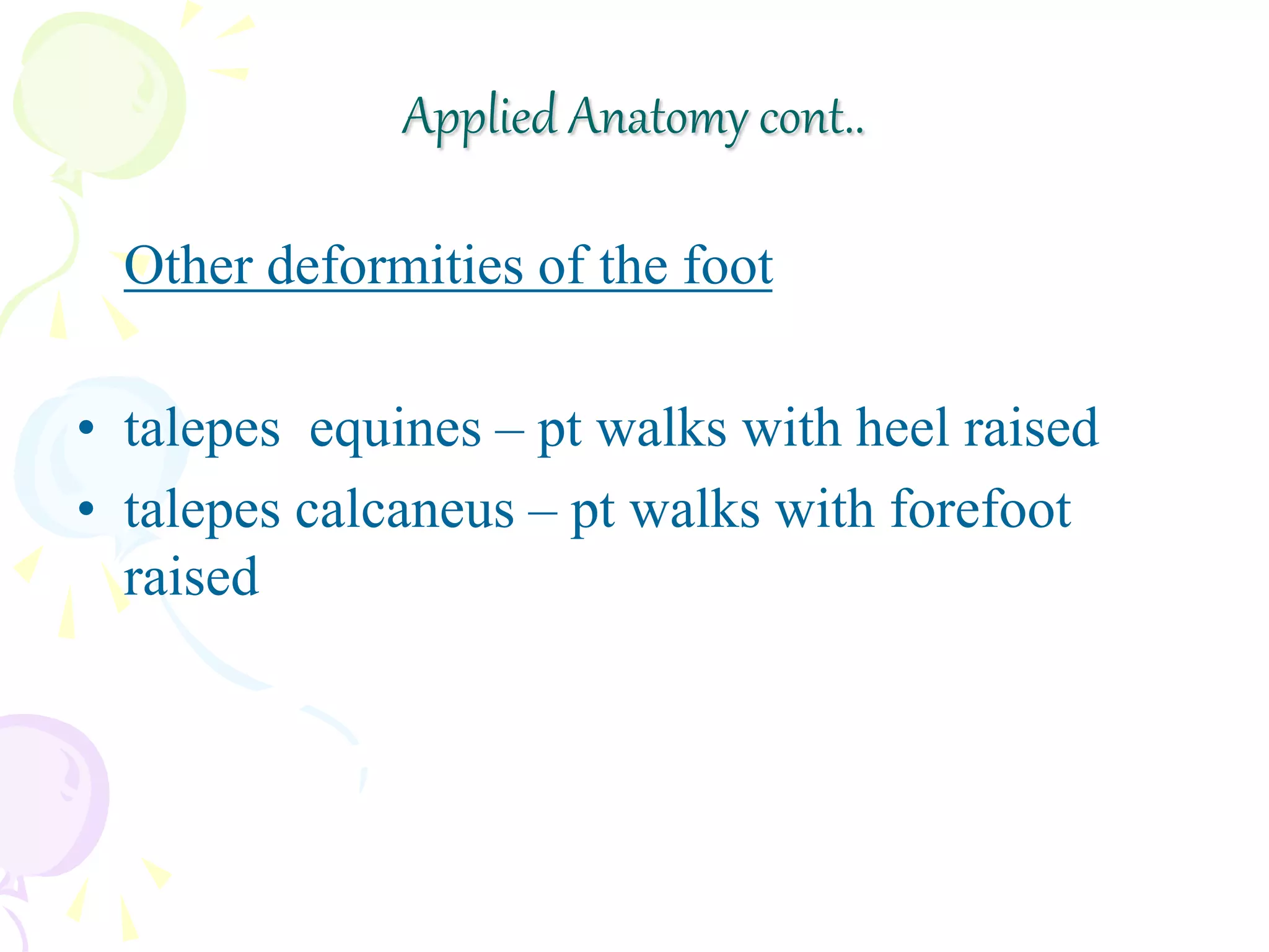 Other deformities of the foot
• talepes equines – pt walks with heel raised
• talepes calcaneus – pt walks with forefoot
raised
Applied Anatomy cont..
 