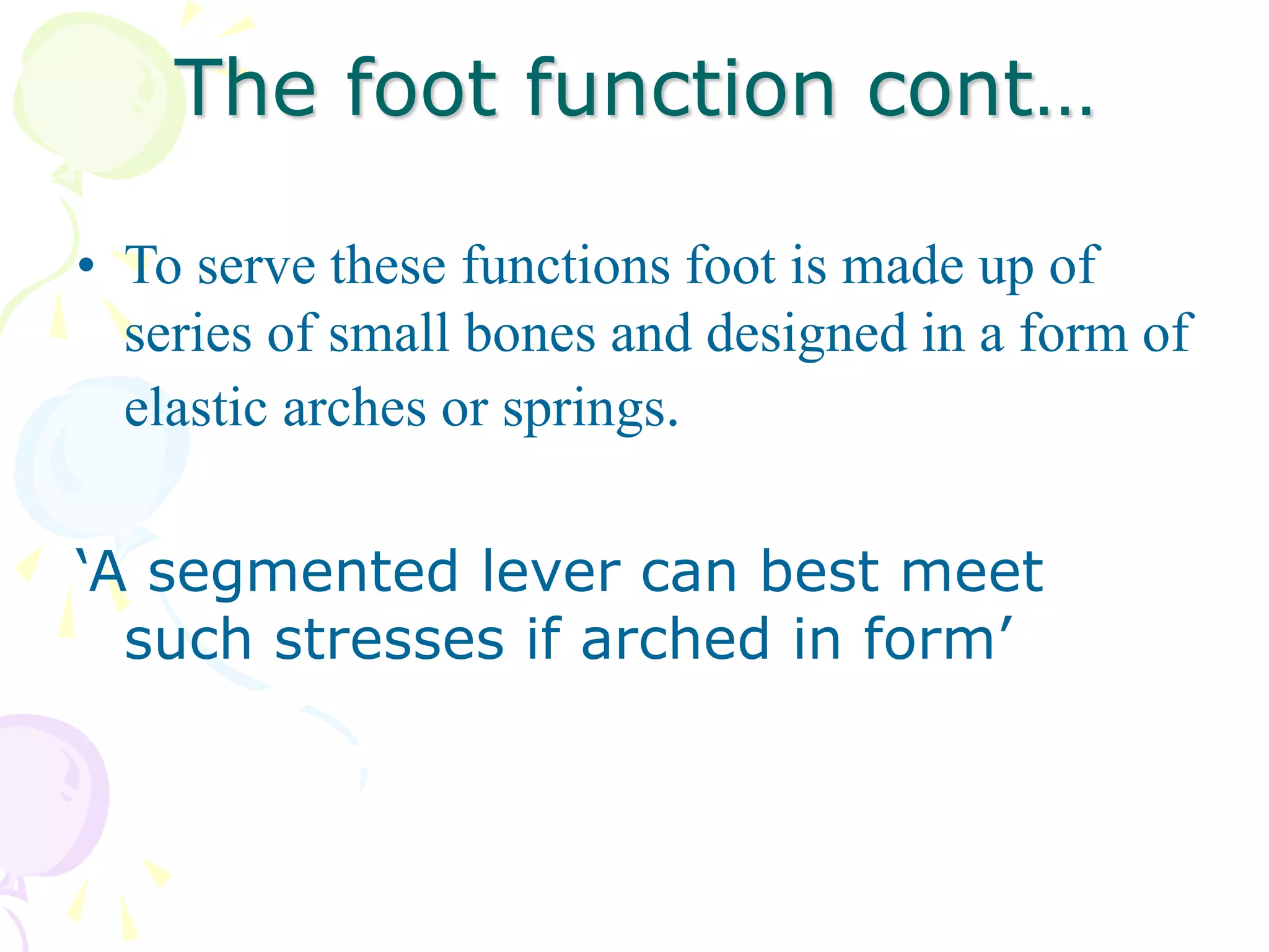 The foot function cont…
• To serve these functions foot is made up of
series of small bones and designed in a form of
elastic arches or springs.
‘A segmented lever can best meet
such stresses if arched in form’
 