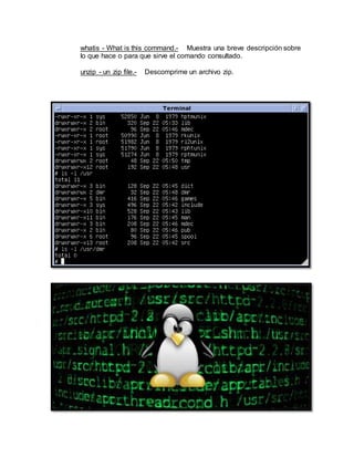 whatis - What is this command.- Muestra una breve descripción sobre
lo que hace o para que sirve el comando consultado.
unzip - un zip file.- Descomprime un archivo zip.
 