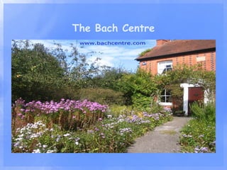 The Bach Flower Essences - Dr. Susan Archibald