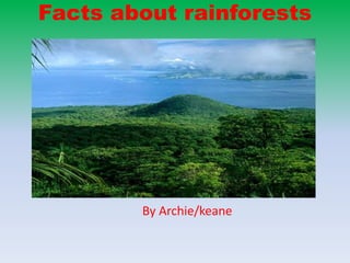Facts about rainforests
By Archie/keane
 