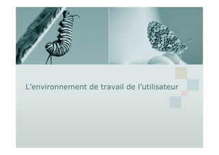 L’environnement de travail de l’utilisateur
 