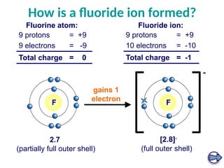 How is a fluoride ion formed?
2.7
(partially full outer shell)
9 protons = +9
9 electrons = -9
Total charge = 0
Fluorine atom:
9 protons = +9
10 electrons = -10
Total charge = -1
Fluoride ion:
[2.8]-
(full outer shell)
-
F F
gains 1
electron
 