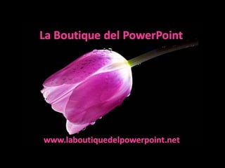 Archipielago de san blas panama