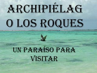 Archipiélago Los Roques Un paraíso para visitar 