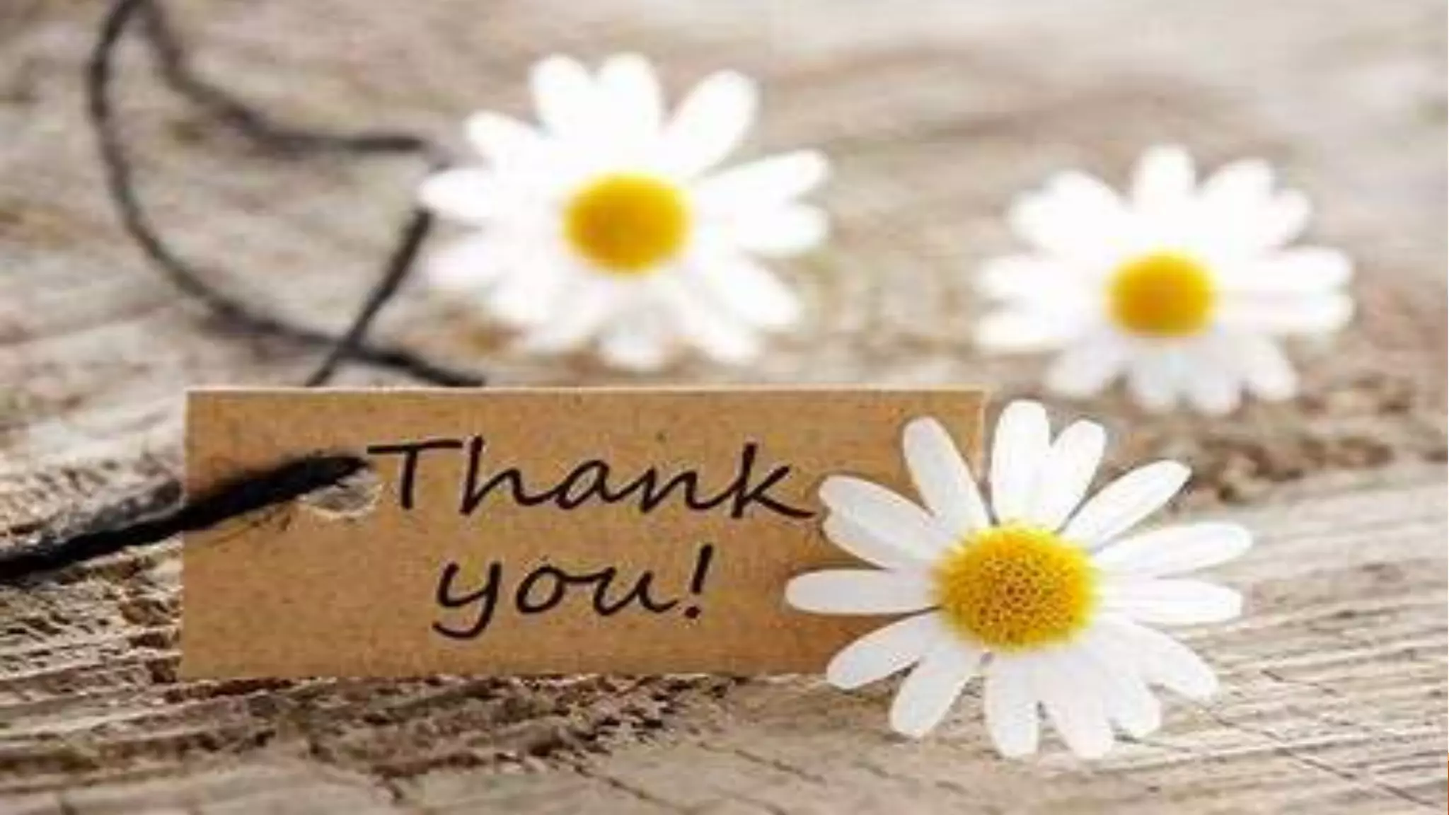 (NEAT System, BOLT system and trading system user- hierarchy).pptx