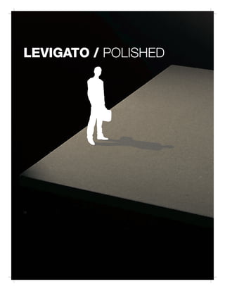 LEVIGATO / POLISHED




12
 