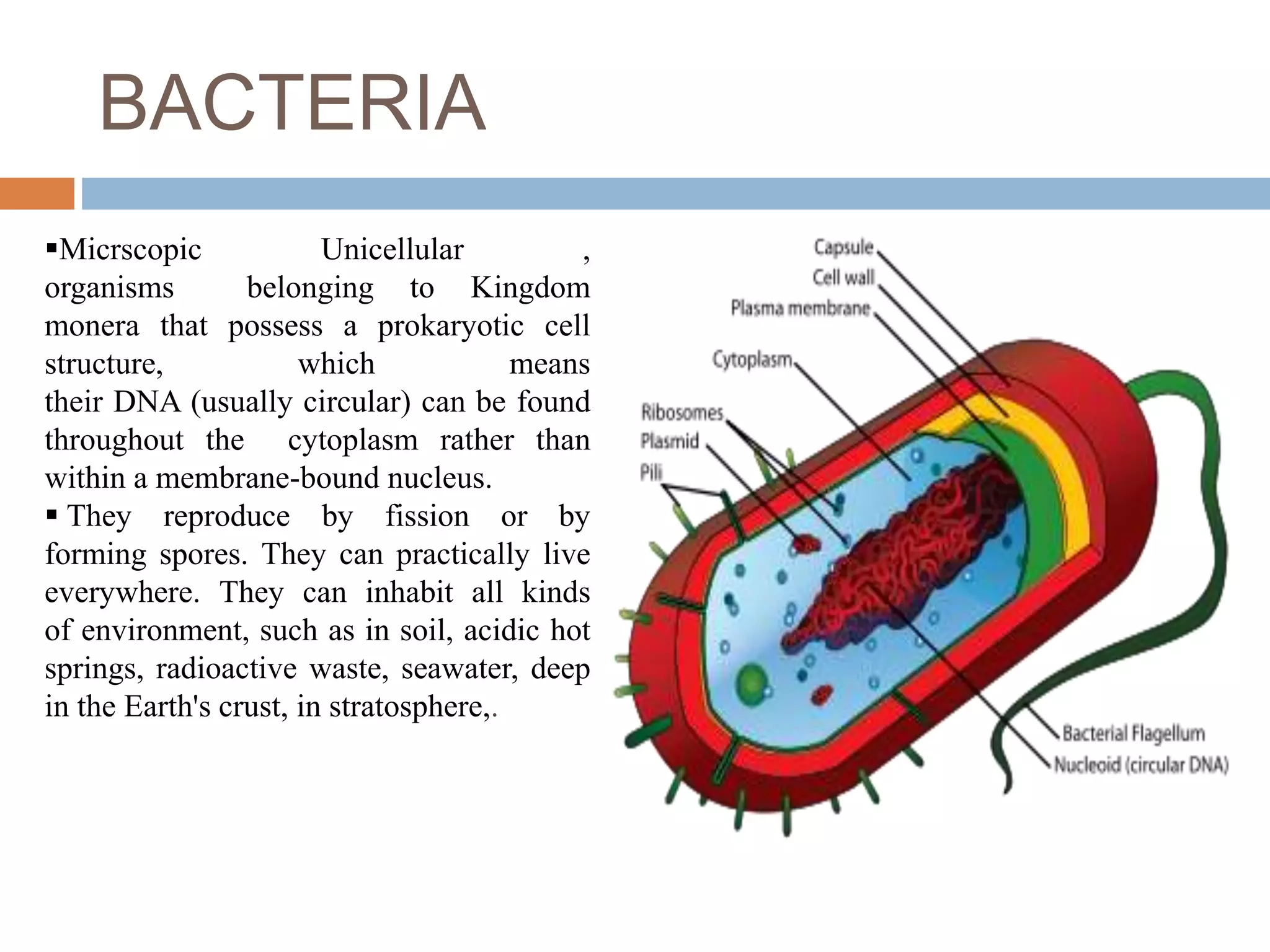 Architechture of microbial cell | PPTX