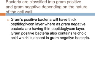 Bacteria are classified into gram positive
and gram negative depending on the nature
of the cell wall
 Gram’s positive bacteria will have thick
peptidoglycon layer where as gram negative
bacteria are having thin peptidoglycon layer.
Gram positive bacteria also contains teichoic
acid which is absent in gram negative bacteria.
 
