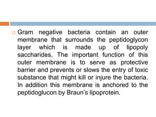  Gram negative bacteria contain an outer
membrane that surrounds the peptidoglycon
layer which is made up of lipopoly
saccharides. The important function of this
outer membrane is to serve as protective
barrier and prevents or slows the entry of toxic
substance that might kill or injure the bacteria.
In addition this membrane is anchored to the
peptidoglucon by Braun’s lipoprotein.
 