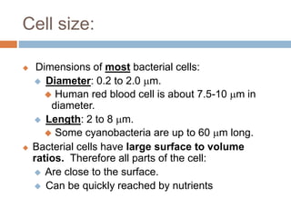 Cell size:
 Dimensions of most bacterial cells:
 Diameter: 0.2 to 2.0 mm.
 Human red blood cell is about 7.5-10 mm in
diameter.
 Length: 2 to 8 mm.
 Some cyanobacteria are up to 60 mm long.
 Bacterial cells have large surface to volume
ratios. Therefore all parts of the cell:
 Are close to the surface.
 Can be quickly reached by nutrients
 
