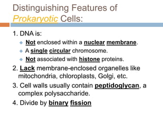 Distinguishing Features of
Prokaryotic Cells:
1. DNA is:
 Not enclosed within a nuclear membrane.
 A single circular chromosome.
 Not associated with histone proteins.
2. Lack membrane-enclosed organelles like
mitochondria, chloroplasts, Golgi, etc.
3. Cell walls usually contain peptidoglycan, a
complex polysaccharide.
4. Divide by binary fission
 