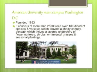 American University main campus Washington
D.C
 Founded 1893
 It consists of more than 2500 trees over 130 different
species & varieties which provide a shady canopy,
beneath which thrives a layered understory of
flowering trees, shrubs, ornamental grasses &
seasonal plantings.
 