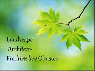 Landscape
Architect-
Fredrick law Olmsted
 