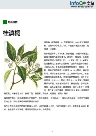  



       


  封面植物 



桂滇桐 
                            濒危种。桂滇桐是 1957 年采到标本，1975 年发表的新
                            种，只有一个分布点，1982 年到原产地没有找到，尚
                            待进一步调查。 

                            形态特征乔木，高 12 米，树皮褐色；小枝干时紫色，
                            疏被淡黄褐色星状短柔毛。叶互生，厚纸质，长椭圆
                            状披针形或长椭圆形， 7 一 9 厘米， 2.5－4 厘米，
                                      长         宽
                            先端长渐尖，基部锐尖或楔形，边缘有明显的小锯齿，
                            上面几无毛，下面疏被淡黄褐色短柔毛，侧脉 6 一 7
                            对，网脉纤细而明显；叶柄长 1.8－2.5 厘米，略被短
                            柔毛。果序生于上部叶腋，为二歧聚伞花序式，略被
                            淡黄褐色星状短柔毛。蒴果长圆状椭圆形，由 5 个心
                            皮形成，长 2.5 一 3 厘米，直径 2 一 2.4 厘米，顶端和
                            基部均浑圆，疏被星状短柔毛；鲜时白色，于时淡黄
                            褐色；成熟心皮具翅，翅薄纸质，扁平，宽 8 一 10 毫
                            米，有二叉分枝的横脉；果柄长约 12 毫米，被淡褐色
短柔毛；种子每室 4 个，排成二列，椭圆形，两端尖，红褐色，长约 8 毫米。 

滇桐属仅两种。其中桂滇桐为广西特产，而且局限在一个分布点上，植株也极为稀少。目前处于濒临
灭绝状态。同时本属的系统位置尚未肯定。 

特性分布区低平地方的年平均温 20.9℃，1 月平均温 12.0℃，7 月平均温 27.2℃，年降水量 1158.2 毫
米。散生于石灰岩常绿、落叶阔叶混交林中，为偶见种。 




                                 55 
           
 